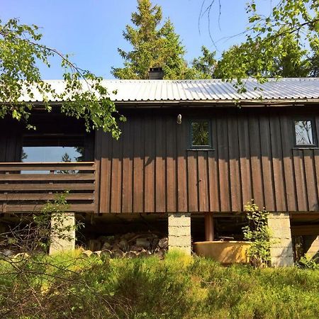 Skogheim Two-Bedroom Cottage Birkeland Екстер'єр фото